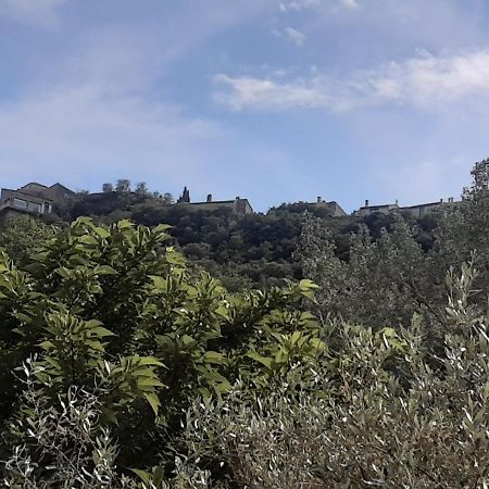 Apartmán Le Chemin De Bruniele Aubres Exteriér fotografie